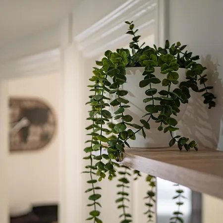 Pet-friendly Apartamento En By Bebalmy Granada